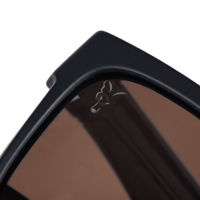 Fox Collection Green Black Shades Brown Lens